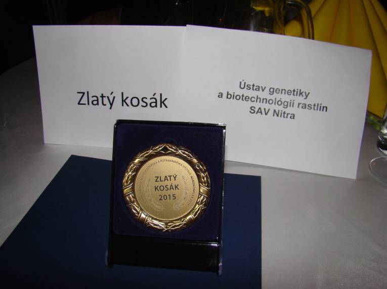 Jedno z ocenení Zlatý kosák tento rok patrí aj Ústavu genetiky a biotechnológií rastlín SAV.