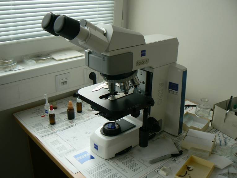Jeden z mikroskopov v botanickom ústave SAV.