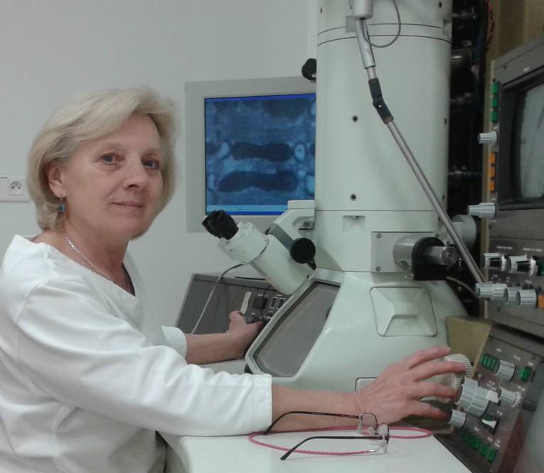 RNDr. Marta Novotová, CSc., vedecká pracovníčka Ústavu molekulárnej fyziológie a genetiky Centra biovied SAV.