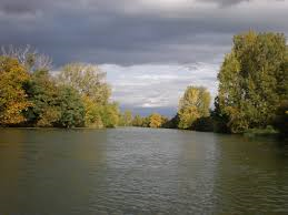 Dunaj je hotspotom biodiverzity vodných ekosystémov v Európe, poskytuje nám veľké množstvo ekosystémových služieb.