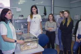Zväčšiť fotografiu - Alexandra Kisucká z Neurobiologického ústavu BMC SAV pri prezentácii v operačnej sále. Živé laboratórne zvieratká (myši i potkany) pri tom nemôžu chýbať, tentoraz poslúžili ako dekorácia
