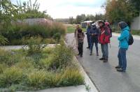 Exkurzia do Rusoviec za novodobými rastlinnými prisťahovalcami