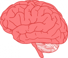  Keď sa mozog nedohodne so zmyslami a so svalmi, prichádza k pádom