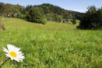 Nová digitálna platforma Virtuálne Beskydy pomáha riešiť klimatické výzvy v česko-slovenskom pohraničí