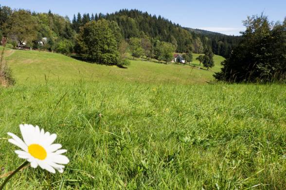 Nová digitálna platforma Virtuálne Beskydy pomáha riešiť klimatické výzvy v česko-slovenskom...