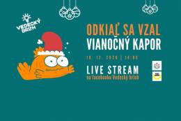 Vedecký brloh odhalí, odkiaľ sa vzal vianočný kapor