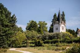 Vedci SAV oživujú regeneratívne agrolesníctvo: Living Lab v Mlyňanoch má prvé výsledky