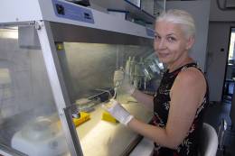 Srdcový červ Dirofilaria immitis znepokojuje parazitológov 