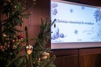 Za vianočnými sviatkami sú ukryté pozoruhodné prírodné procesy