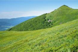 SAS Scientists: National Park Zoning Can Be Completed Quickly – Decisions Must Be Based on Data, Not Politics