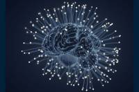 TÝŽDEŇ MOZGU Mozog pod jemným prúdom