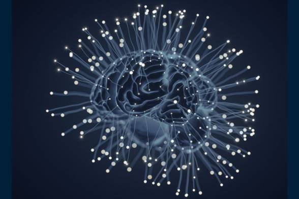 TÝŽDEŇ MOZGU Mozog pod jemným prúdom