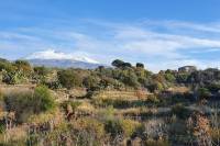 Krajinní ekológovia skúmali význam tradičných ovocných sadov