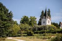 Vedci SAV oživujú regeneratívne agrolesníctvo: Living Lab v Mlyňanoch má prvé výsledky