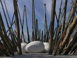 BUGA 2005 – experimentálna záhradná výstava