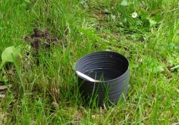 Asian invasive mosquito species Aedes japonicus japonicus noticed in Slovakia