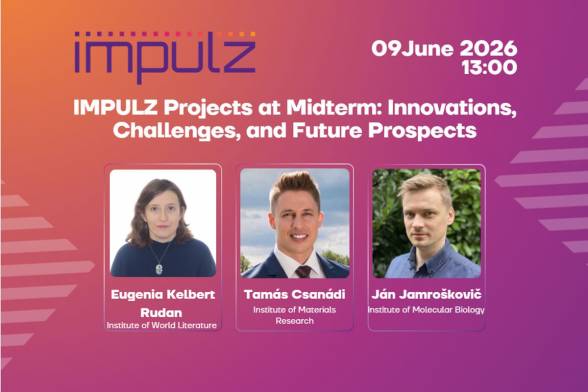 IMPULZ Projects at Midterm: Interim Results, Challenges, and Future Prospects