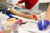 V Bratislave sa uskutočnila Jesenná kvapka krvi SAV 2025