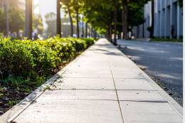 Slovenské samosprávy sa môžu zapojiť do medzinárodného prieskumu mestskej zelene