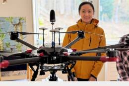 Ekológovia našli spôsob, ako zachrániť stromy...