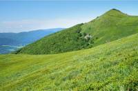 Vedci SAV: Zonáciu národných parkov je možné dokončiť rýchlo, rozhodovať majú dáta, nie politické tvrdenia