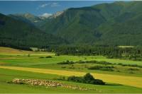 Stanovisko Komisie SAV pre životné prostredie a klimatickú zmenu k zásadám tvorby a schvaľovania zonácií národných parkov v SR