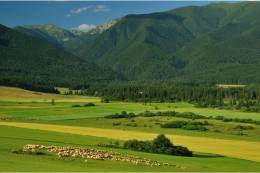Stanovisko Komisie SAV pre životné prostredie a klimatickú zmenu k zásadám tvorby a schvaľovania zonácií národných parkov v SR