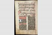 Pozvánka na on-line prednášku Dr. Rhianydd Hallasovej