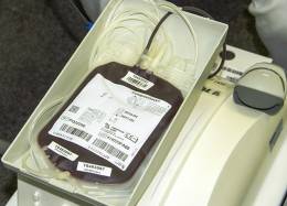 V Košiciach môžete darovať krv