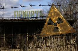 Scientists will examine plants from Chernobyl with new method