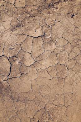 Svetový deň boja proti rozširovaniu púští a sucha