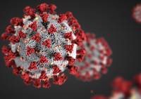 Terminológia epidemiológie a imunológie ako reakcia na celosvetovú pandémiu