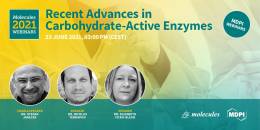 Pozvánka na 12th Molecules Webinar – Recent Advances in Carbohydrate-Active Enzymes