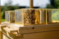 Memorandum o spolupráci medzi vedcami a včelármi