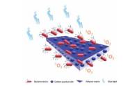 Polymérne nanokompozity na báze hydrofóbnych uhlíkových kvantových bodiek a ich antibakteriálne vlastnosti