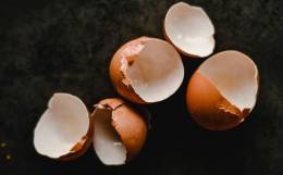 Guľové mletie odpadu na báze vaječnej škrupinky ako zelený a obnoviteľný prístup