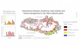 Vplyv disturbancií na mortalitu smreka v Tatranskom národnom parku