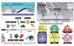 Využitie nanomateriálov alebo kontroly procesu imobilizácie rôznych molekúl v nanoškále na rôzne praktické aplikácie