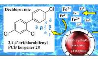 Využitie nanočastíc magnetoferitínu na znižovanie toxicity PCB látok vo vodnom prostredí