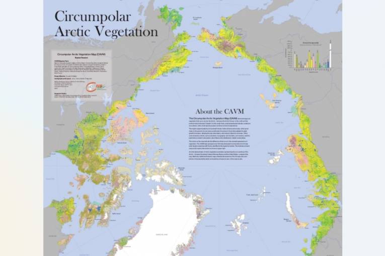 Cirkumpolárna vegetačná mapa Arktídy. Zdroj:  https://www.geobotany.uaf.edu/
