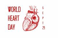 Oslávte svetový deň srdca so SAV na Noci výskumníkov