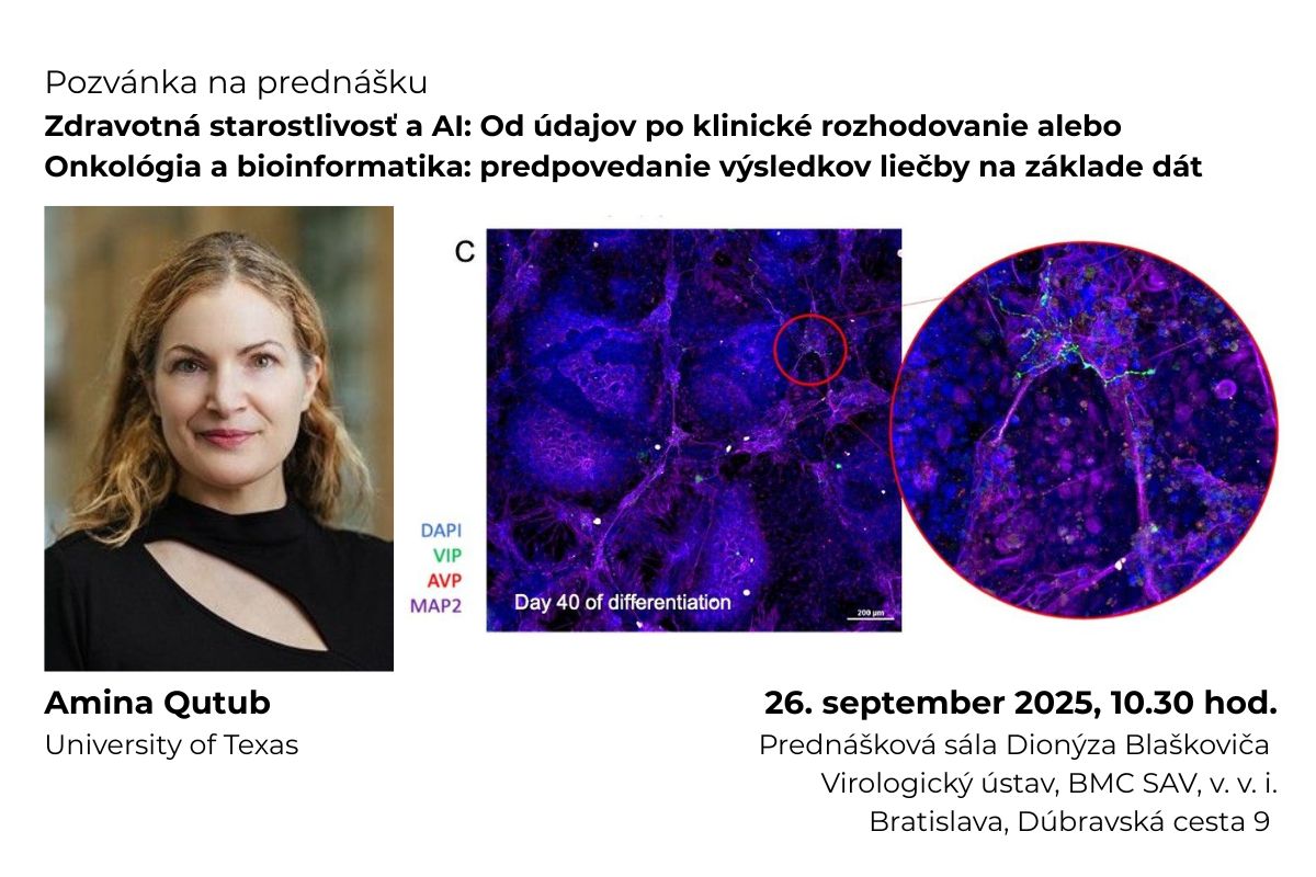 SAS - News - Invitation to a lecture by a renowned researcher in the field  of artificial intelligence